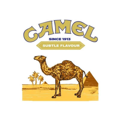 CAMEL 駱駝